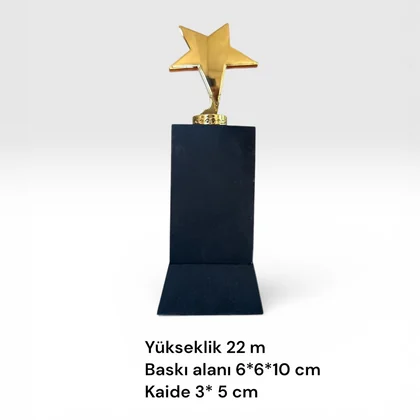 Ödül Plaketi 240