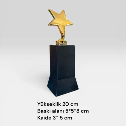 Ödül Plaketi 250