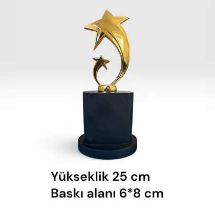 Ödül Plaketi 264