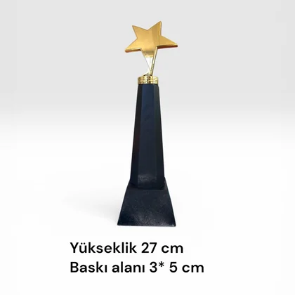 Ödül Plaketi K-300