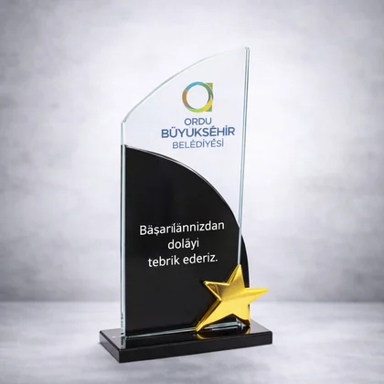 Yıldızlı Plaket 259