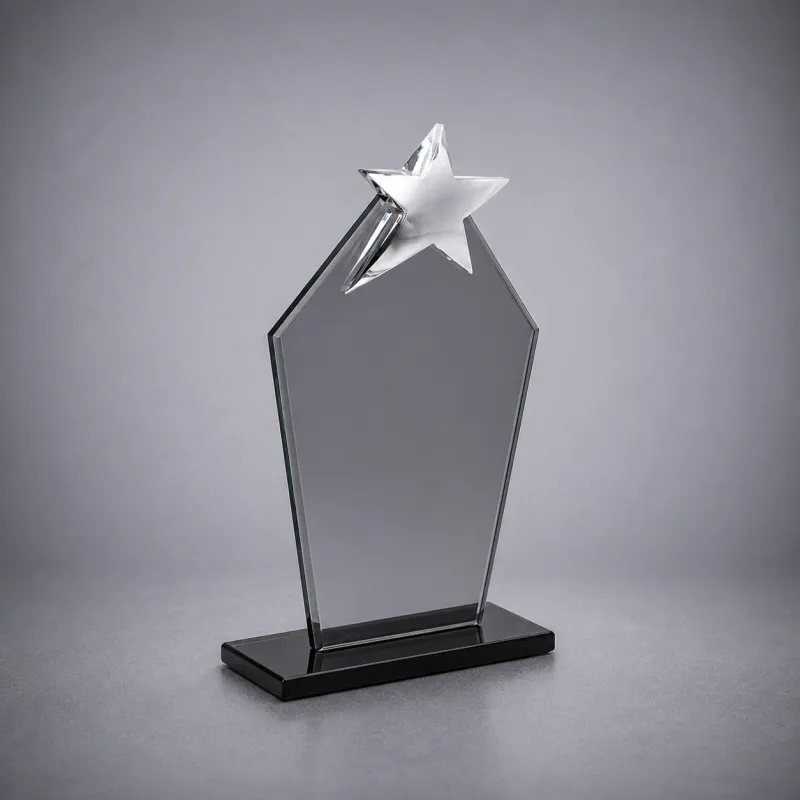Yıldızlı Plaket 291