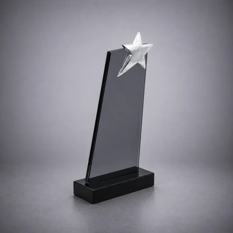 Yıldızlı Plaket 303